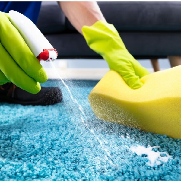 Carpet Cleaning Medium(50-100sq.ft)