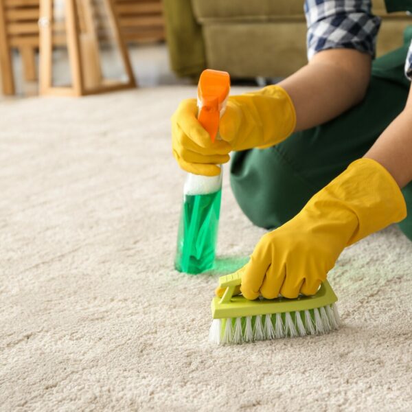 Carpet Cleaning Small(25-50sq.ft)