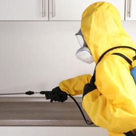 Termite Control 1 BHK Apartment