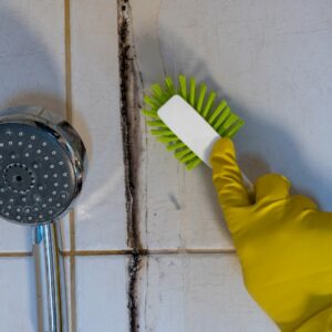 Deep Bathroom Cleaning + Lime Scaling