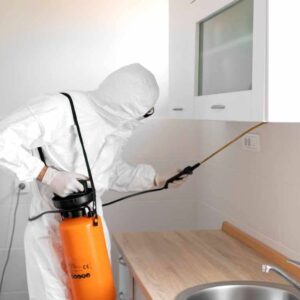 Termite Control 5 BHK Apartment