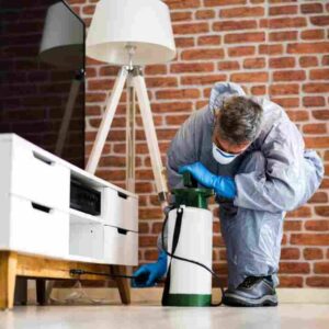 Termite Control up to 4000sft