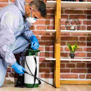 Termite control Banglow up to 3000sft