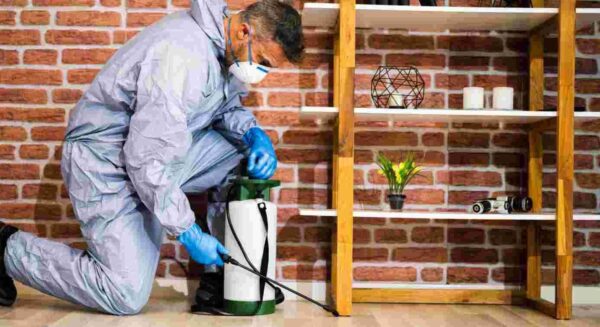 Termite control Banglow up to 3000sft