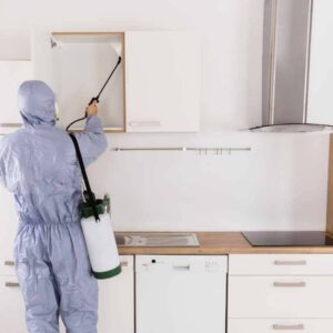 Termite Control 3BHK Apartment